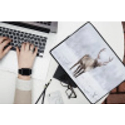 Rendier - Gewei - Toendra - Sneeuw - Wild laptophoes neopreen klein -bureau