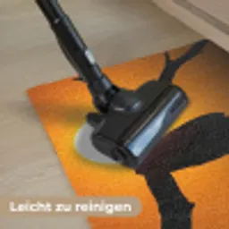Gier - Tak - Zon - Oranje Deurmat klein -reinigen_DE