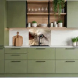 Schaap - Oog - Wit keuken achterwand 2 middel -sfeer3