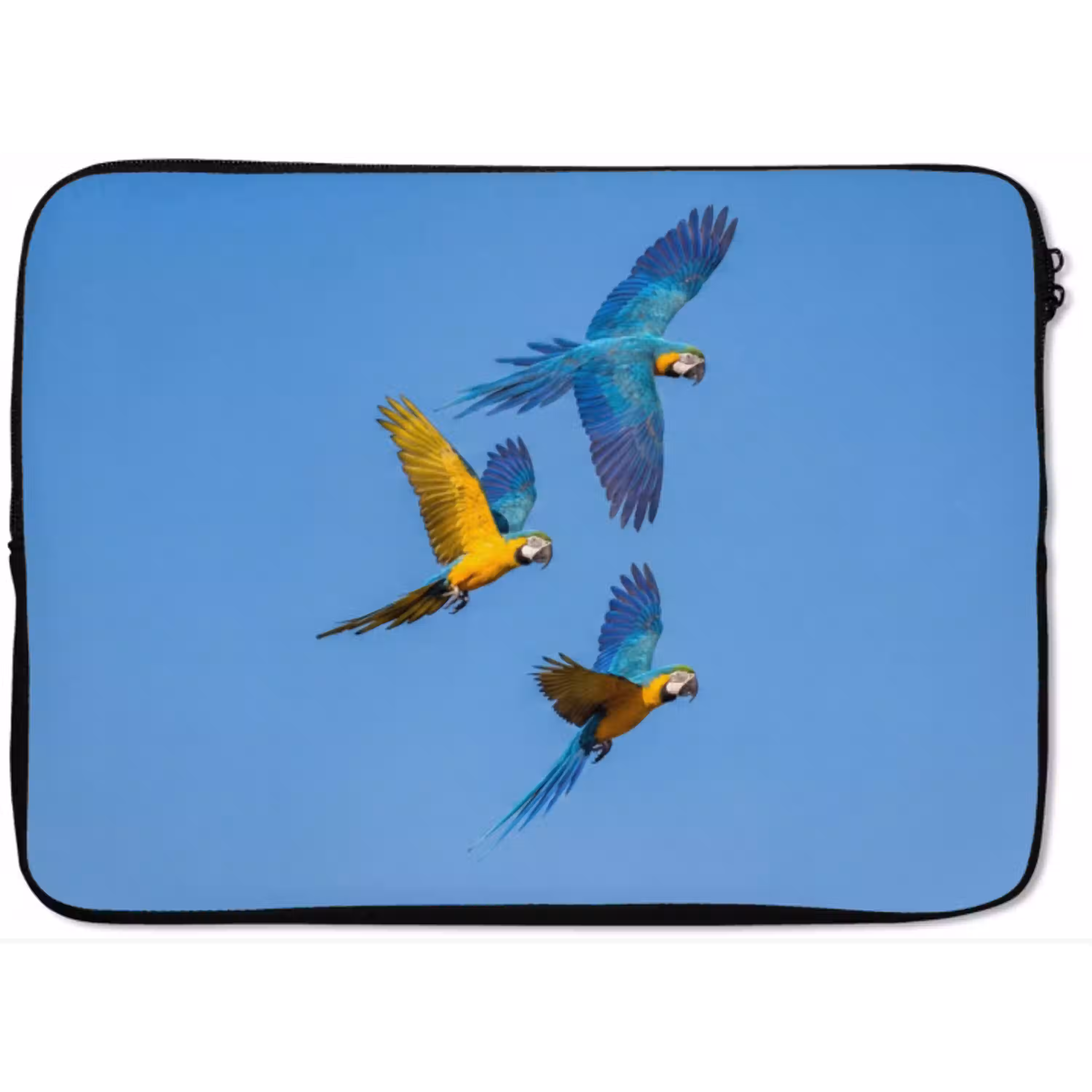 Papagaai - Vliegen - Blauw - Geel laptophoes neopreen klein -zkaufland3dotto