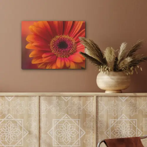 Oranje - Gerbera - Intens PET vilt klein -sfeer4
