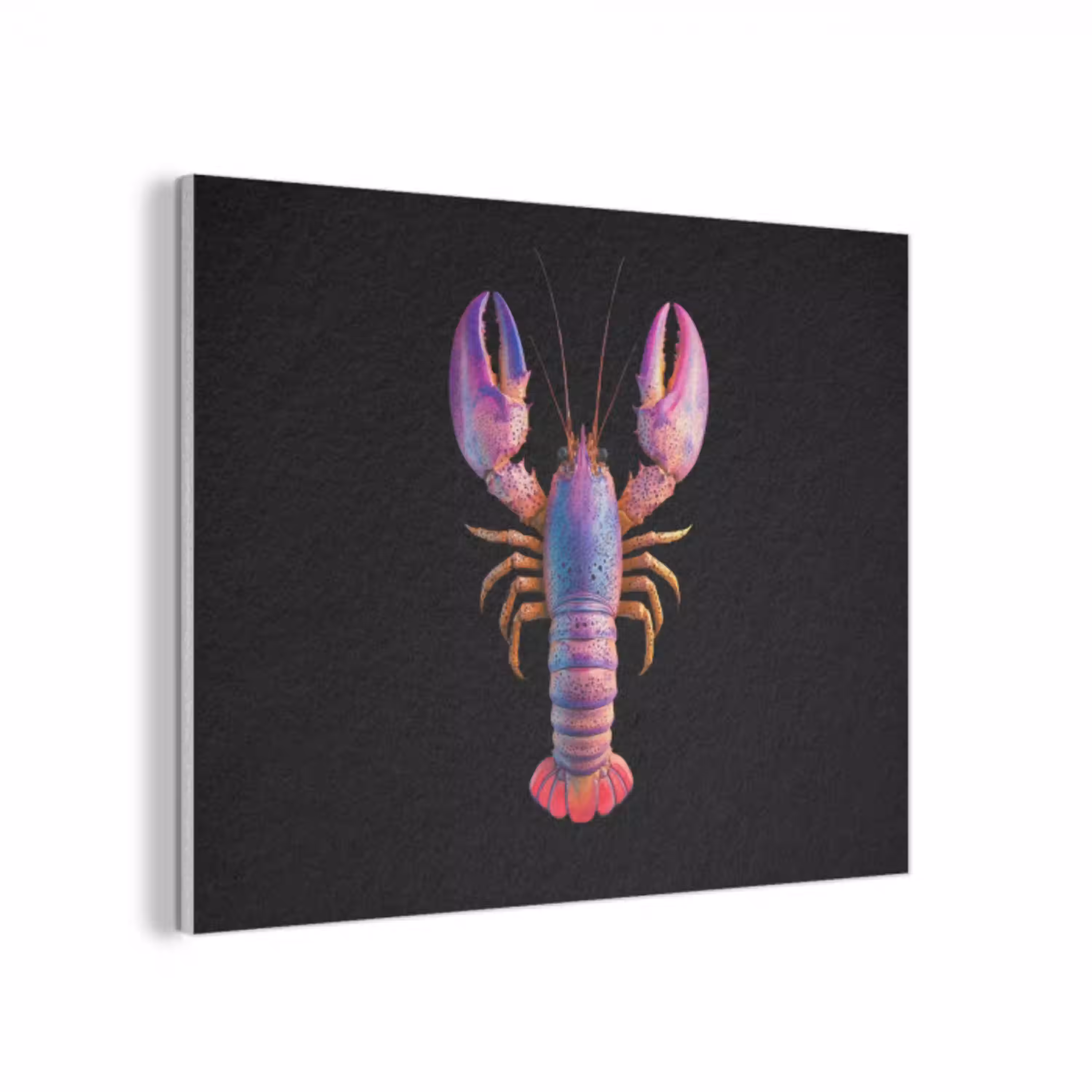 Kreeft - Paars - Roze - Zwart - Stippen - Lila PET vilt klein -3d