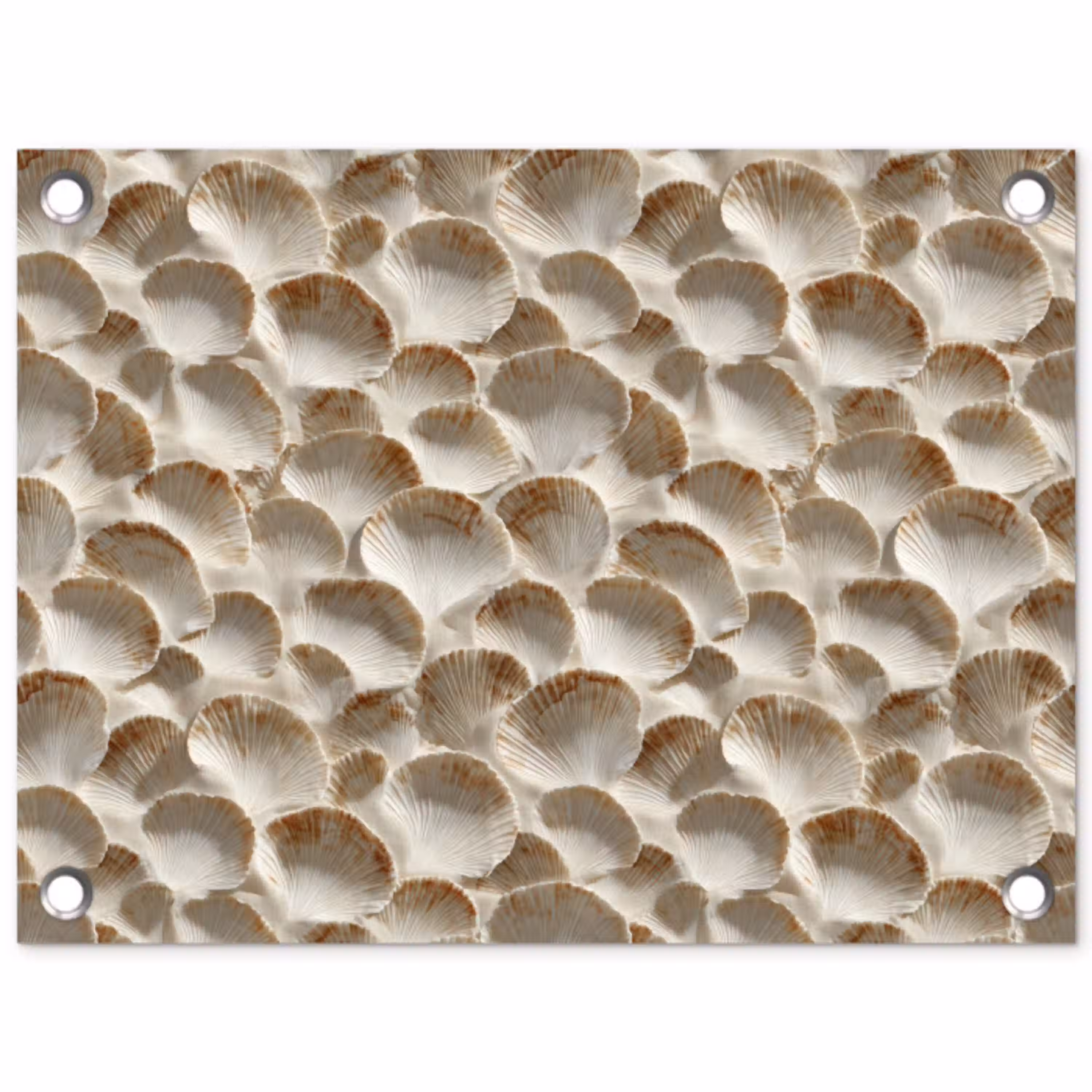 Schelpen - Waaiervorm - Wit tuinposter los doek klein 239 -3d
