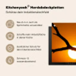 Gier - Tak - Zon - Oranje Inductie beschemer met haakjes klein -ky-usp-de