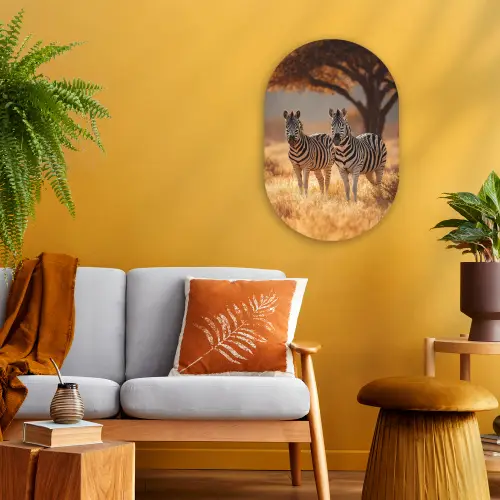 Zebra's - Savannelandschap - Gras Wandcirkel Ovaal Forex klein -sfeer4