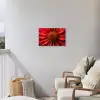 Close up - Bloem- Rood Tuinposter op houten frame 2 cm dik klein -sfeer1