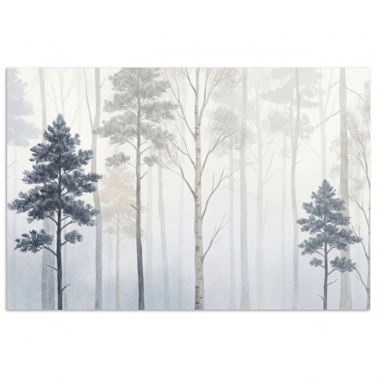Bos - Bomen - Mist - Natuur - Illustratie - Grijs poster papier klein -3d