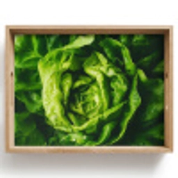 Groente - Sla - Groen Dienblad Rechthoek middel -z3d_shopping