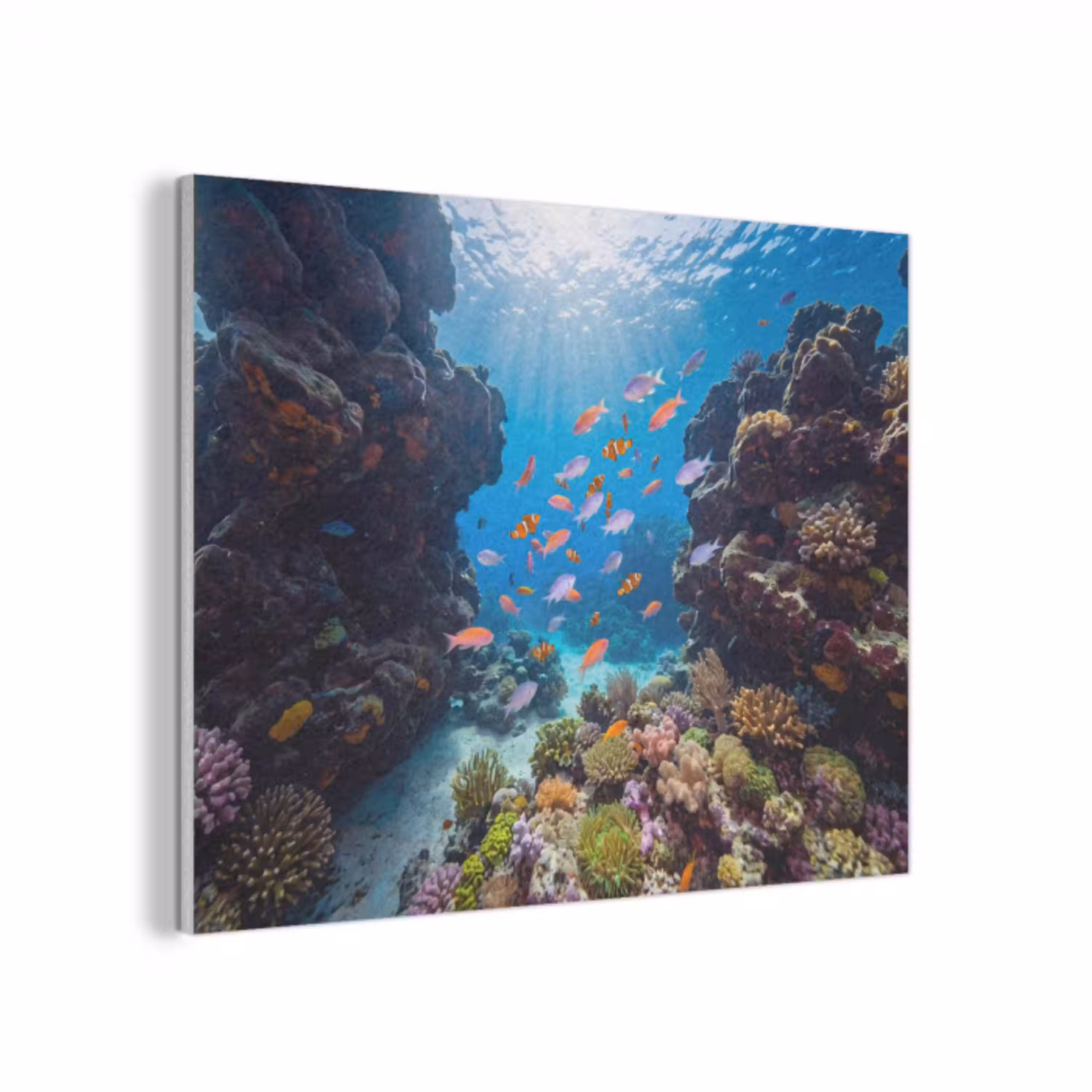 Vis - Koraalrif - Onderwater - Levendig - Blauw PET vilt klein -3d