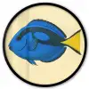 Blauw - Dory - Vis - Staartvin Fotolijst rond zonder passe partout klein -3d