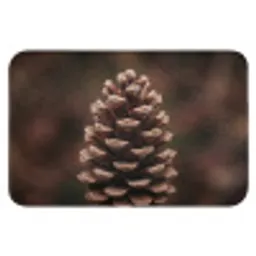 Dennenappel - Bos - Herfst - Bruin - Sfeervol Badmat klein -3d