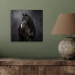 Portret - Paard - Zwart aluminium wit klein -sfeer2