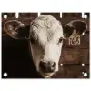 Kalf - Oormerk - Houten stal tuinposter los doek klein -3d