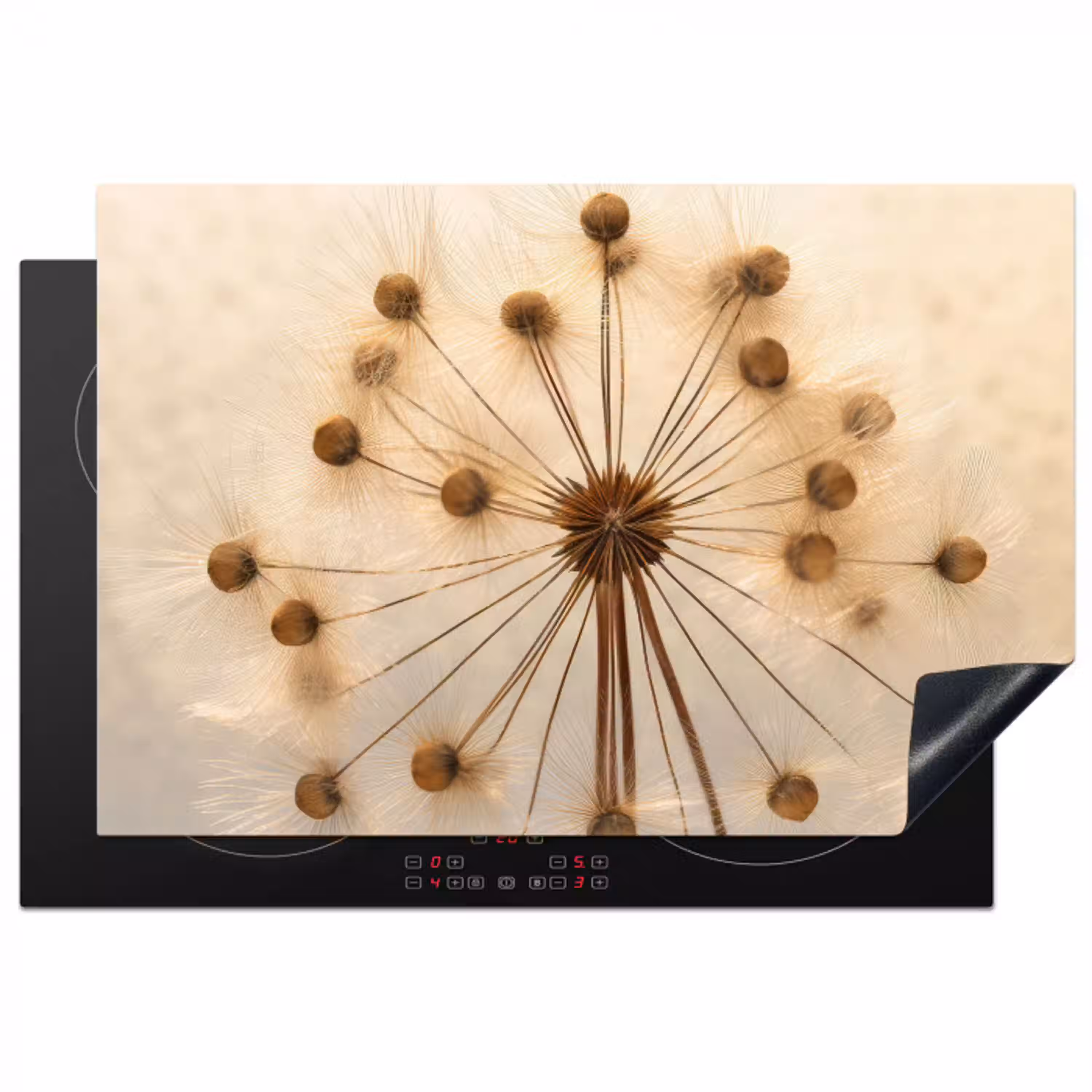 Gouden Sierlijkheid van de Paardenbloem Inductie beschermer vinyl 3mm klein -3d