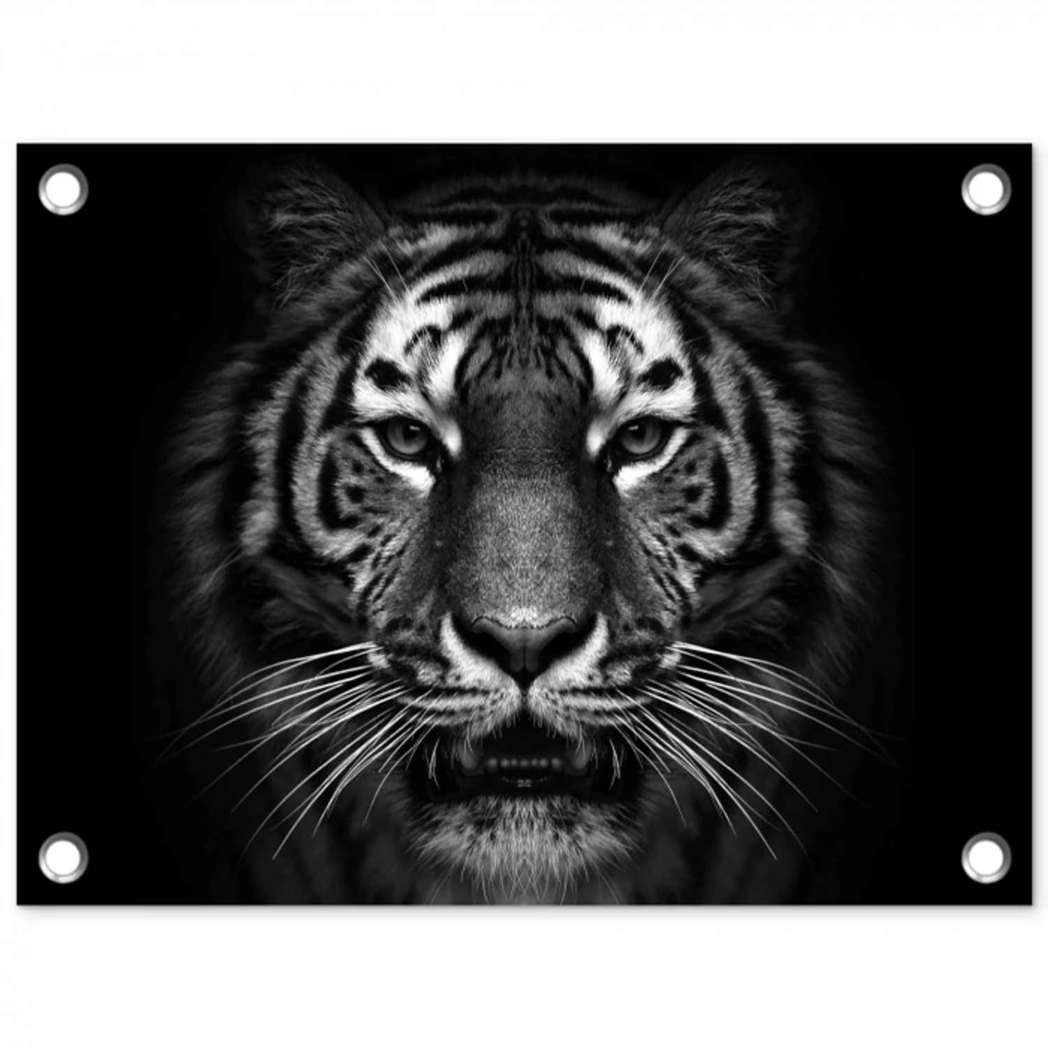 Tijger in het zwart-wit tuinposter los doek klein -3d