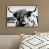 Schotse hooglander - Close up - Horens - Vacht - Zwart Wit canvas 2cm klein -sfeer3