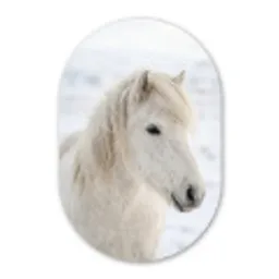 Paard - Kop - Winter - Dieren - Wit Wandcirkel Ovaal Aluminium middel -3d