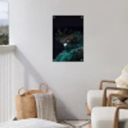 Kaketoe - Vogel - Zwart tuinposter los doek klein -sfeer8