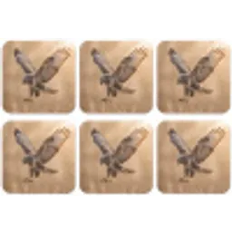 Buizerd - Roofvogel - Natuur - Bruin onderzetter kurk middel -zkaufland3dotto