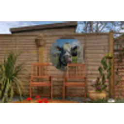 Doorkijk - Koe - Weiland - Dieren - Natuur Wandcirkel tuinposter met ringen klein -buiten3
