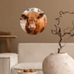 Koe- Schotse hooglander - Hoorns - Bruin - Landschap Wandcirkel behangsticker klein -sfeer1
