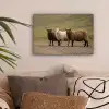 Schapen - Bruin - Wit - Grindpad canvas 2cm klein -sfeer1