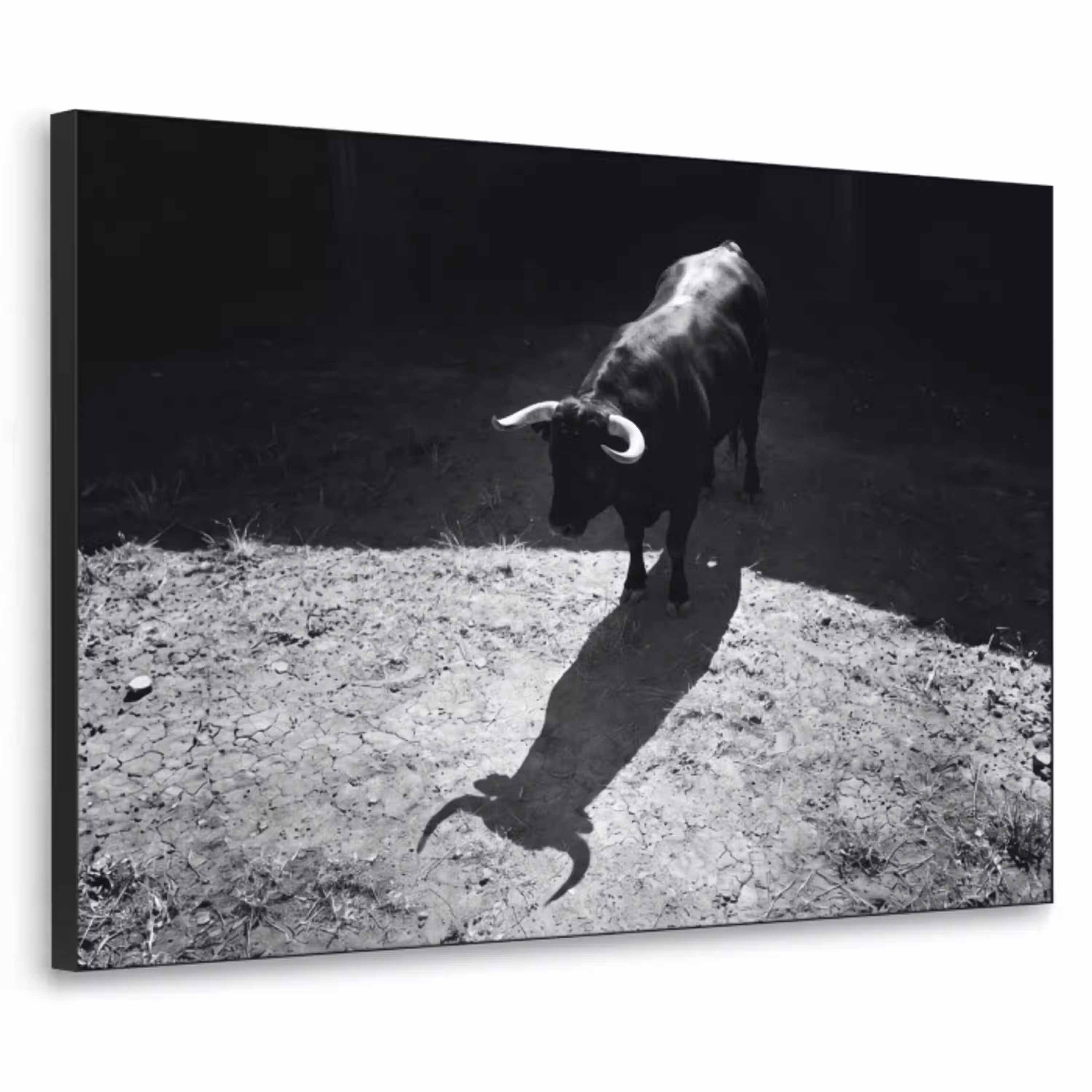 Stier - Schaduw - Dieren - Contrast - Zwart-wit Textielframe zwart klein -3d
