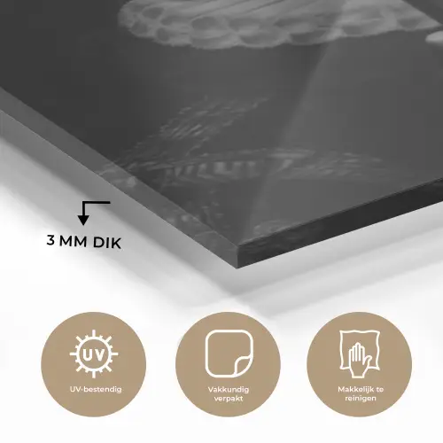 Willem van Oranje - Adriaen Thomasz - Smartphone plexiglas 5mm klein -sfeer2