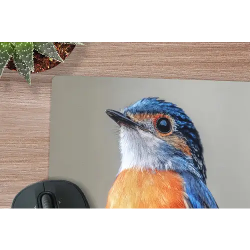 Kleurrijk - Vogeltje - Veren - Blauw muismat rubber klein -closeup