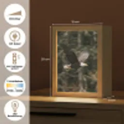 Zeearend - Vliegen - Bos - Natuur Light Box met kabel (Kinderlampje) klein -USP_DE
