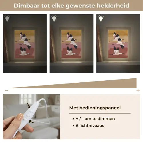 Vogels - Snavel - Abstract Light Box met kabel (Tafellamp) klein -USP_dimbaarNL