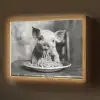 Varken - Schattig - Spaghetti - Zwart wit - Dier Light Box met batterij (Wandlamp) middel -z3d_website