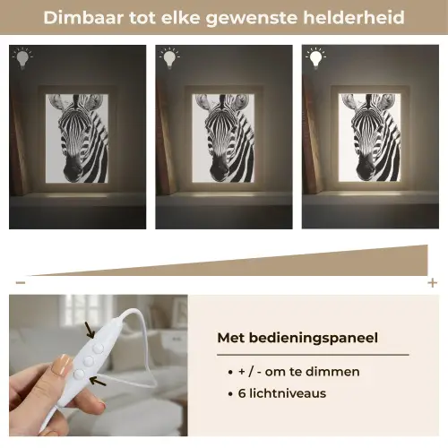 Zebra - Close-up - Zwart - Strepen Light Box met kabel (Tafellamp) klein -USP_dimbaarNL
