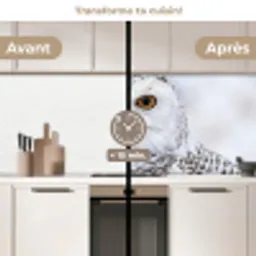 Sneeuwuil - Oog - Wildlife - Wit keuken achterwand 2 middel -voor-na2_FR