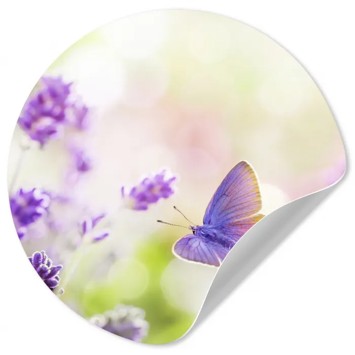 Lavendel - Vlinder - Bloemen Wandcirkel behangsticker klein -3d