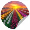 Tulpenveld - Zonsondergang - Kleurrijk Wandcirkel behangsticker klein -3d