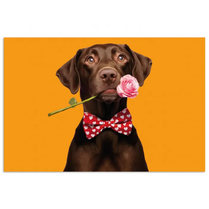 Hond - Oranje - Roos - Valentijn poster papier klein -3d