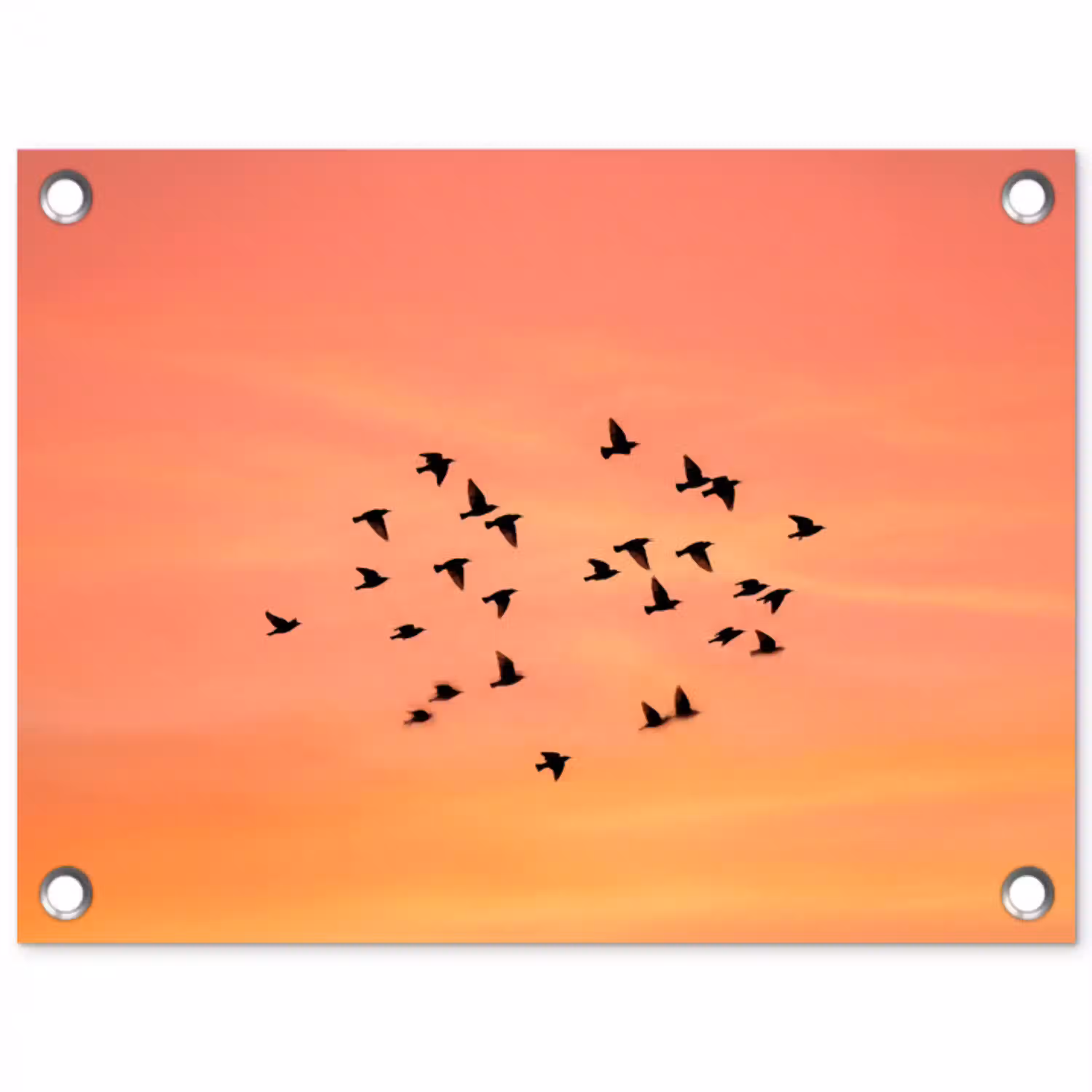 Zwerm - Vogels - Oranje tuinposter los doek klein -3d