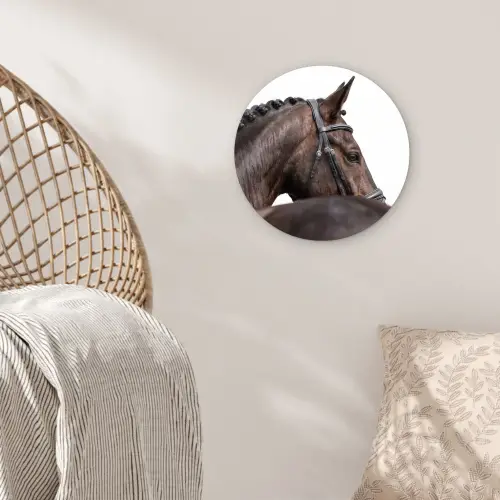 Portret - Paard - Elegant Wandcirkel kunststof plaat 5mm dik klein -sfeer5