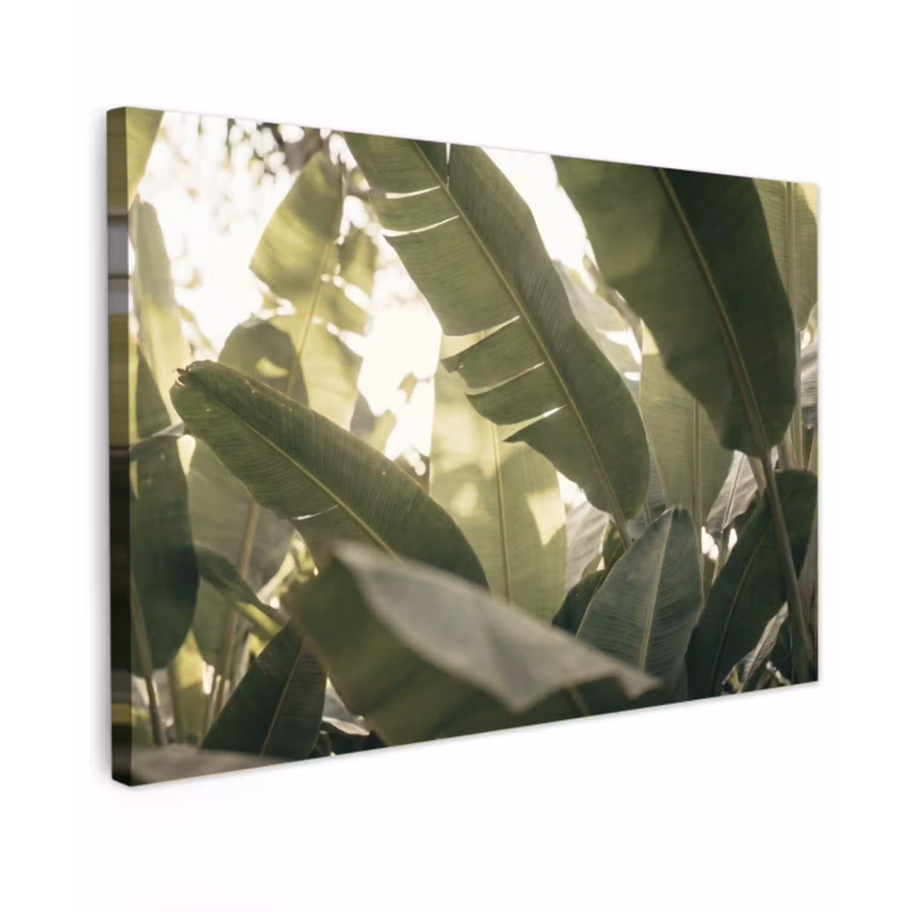 Natuur - Bladeren - Groen - Tropisch - Detail Tuinposter op houten frame 2 cm dik klein -3d