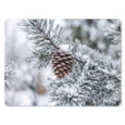 Dennenappel - Tak - Sneeuw - Winter - Sfeervol muismat rubber klein -3d