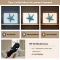Zeester - Blauw - Spetters Light Box met batterij (Wandlamp) middel -USP_lichtkleurDE