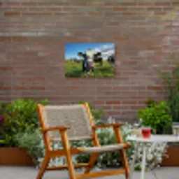 Koe - Tong - Weide Tuinposter op houten frame 2 cm dik klein -sfeer3