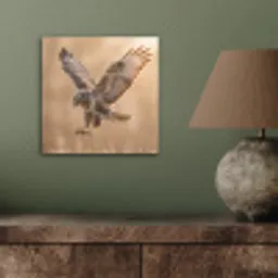 Buizerd - Roofvogel - Natuur - Bruin aluminium wit klein -sfeer2