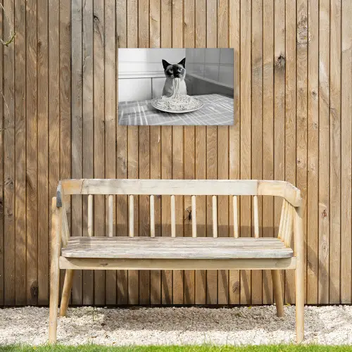Kat - Siamees - Zwart Wit - Schattig - Dieren Tuinposter op houten frame 2 cm dik klein -sfeer4
