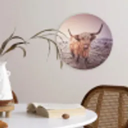 Schotse hooglanders - Licht - Lucht - Natuur Wandcirkel kunststof plaat 5mm dik klein -sfeer4