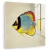 Kleurrijk - Vis - Schubben - Illustratie plexiglas 5mm klein -zzzproduct_nieuw