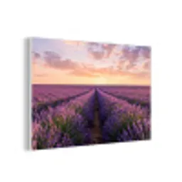 Landschap - Lavendelveld - Paars forex 5mm xxl -3d
