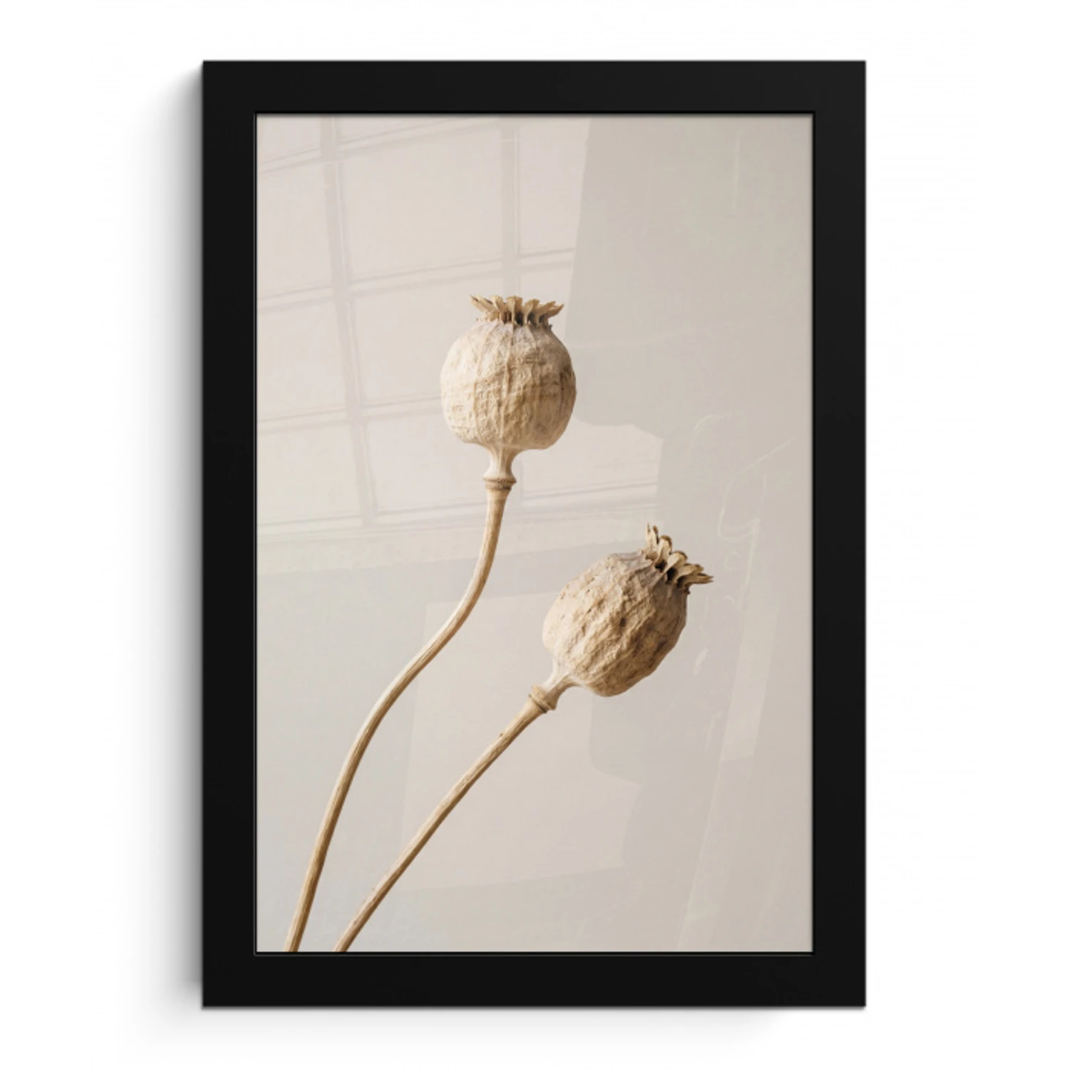Papaverbollen - Droogbloemen - Minimalistisch - Beige - Rustig fotolijst zwart zonder passe partout klein -3d