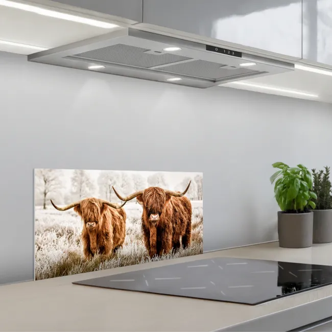 Vorstelijk Duo keuken achterwand spatscherm klein -3d_schuin